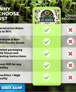 42-Day Heirloom Tomato Seeds - Fastest Ripening Vegetable Seeds - 50+ Premium Seeds - Outdoor - Image 2