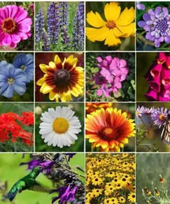 All Perennial Wildflower Seed Mix - 1200+ Seeds for Pollinators - Heirloom Outdoor - Image 1