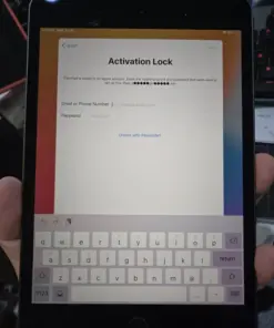 Apple Tree Seeds - Grow Your Own Apple Orchard - 25+ Seeds - Image 4