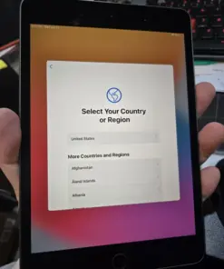 Apple Tree Seeds - Grow Your Own Apple Orchard - 25+ Seeds - Image 1