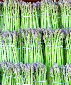 Asparagus Seeds - Perennial Vegetable - Heirloom, Non-GMO - 150+ Count for Autumn Garden Planting - Image 3
