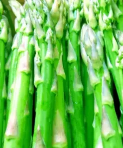 Asparagus Seeds - Perennial Vegetable - Heirloom, Non-GMO - 150+ Count for Autumn Garden Planting - Image 4