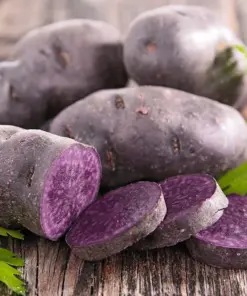 Blue Adirondack Seed Potatoes - Purple Potato Seeds - USDA Certified for Planting - 500g - Image 1