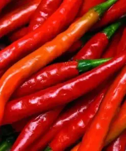 Cayenne Long Thin Pepper Seeds - Non-GMO Vegetable Seeds - Full Sun - Easy Grow - Image 2