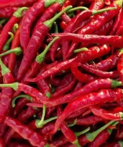 Cayenne Long Thin Pepper Seeds - Non-GMO Vegetable Seeds - Full Sun - Easy Grow - Image 1