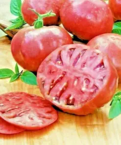 Cherokee Purple Tomato Seeds - Heirloom Vegetable Seeds - Fast Growing - Indoor/Outdoor - Image 1