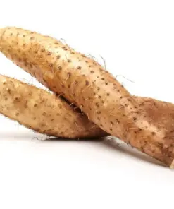 Chinese Yam Cinnamon Vine (Dioscorea Opposita) Live Plants - 3 Pack - USA Grown - Image 9