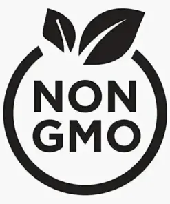 Culantro Seeds (Recao) - Non-GMO Ngo Gai Herb Seeds - 10,000+ Seeds - Indoor/Outdoor - Image 5