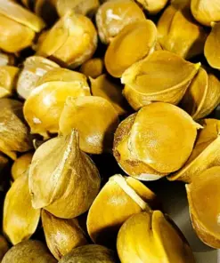 Elephant Garlic Corms - Fresh Harvest USA Grown - Healthy Bulbs for Planting - Image 3