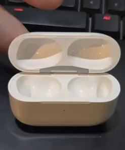 Ficus Benjamina Live Plant - Weeping Fig Tree - Indoor Plant - 6-8 inch Pot - Image 3