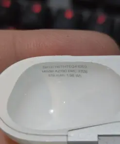 Ficus Benjamina Live Plant - Weeping Fig Tree - Indoor Plant - 6-8 inch Pot - Image 4