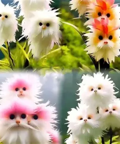 Fragrant Cat Orchid Seeds - Large Flowered Potted Garden Plants - 35+ Seeds - Image 3