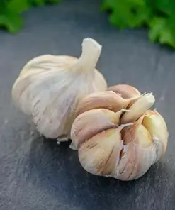 German Red Garlic Seeds - 500+ Count - NON-GMO, Healthy, Fast Growing - USA Grown - Image 6