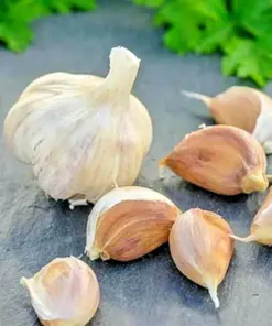 German Red Garlic Seeds - 500+ Count - NON-GMO, Healthy, Fast Growing - USA Grown - Image 1
