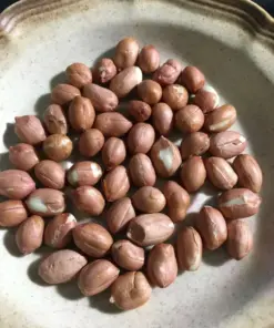 Heirloom Tennessee Red Peanuts Seeds - 50 Fresh Seeds - Skin Off - Outdoor Planting - Easy Grow - Image 2