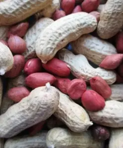 Heirloom Tennessee Red Valencia Peanut Seeds - Pre-1930s Variety - 35g Pack - Outdoor - Image 1