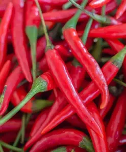 Hot Cayenne Pepper Seeds - Heirloom & Non-GMO Vegetable Seeds - Easy to Grow - Image 1