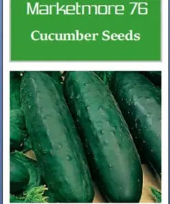 Marketmore 76 Cucumber Seeds - Non-GMO Heirloom Vegetable Garden Seeds - Full Sun - Image 2