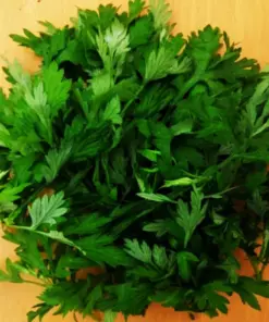 Mugwort Artemisia Argyi Live Plant - Ngai Cuu Yomogi Silvery Wormwood - Indoor/Outdoor - Seedling - Image 11