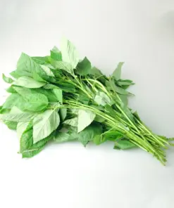 Nalta Jute Seeds - Saluyot Molokhia Egyptian Spinach Rau Day - 350+ Seeds - Indoor/Outdoor - Image 11