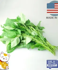 Nalta Jute Seeds - Saluyot Molokhia Egyptian Spinach Rau Day - 350+ Seeds - Indoor/Outdoor - Image 2