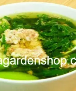 Nalta Jute Seeds - Saluyot Molokhia Egyptian Spinach Rau Day - 350+ Seeds - Indoor/Outdoor - Image 3