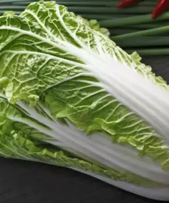 Napa Cabbage Michihili Seeds - 500+ Count, Non-GMO Chinese Cabbage Seeds, Easy Grow Outdoor - Image 2