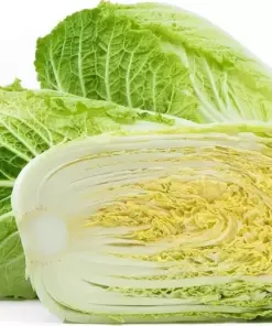 Napa Michihili Cabbage Seeds - Non-GMO, Flavorful, USA Grown - 50+ Seeds - Outdoor - Image 1
