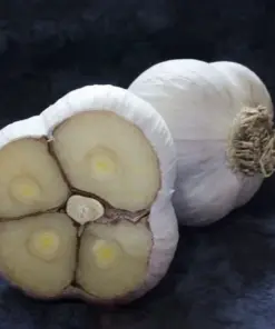 Organic Garlic Bulbs - Mixed Varieties (Chesnok Red, Music, Italian) - 4 Bulbs - Outdoor - Image 3