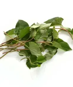 Organic Houttuynia Cordata - Dokudami Fish Mint Live Plants - 10 Pack - Indoor & Outdoor - Image 8