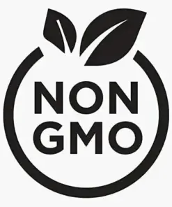 Peperomia Pellucida Seeds - Organic Hat Cang Cua (Krasang Teap) - 450+ Seeds - Indoor/Outdoor - Image 3