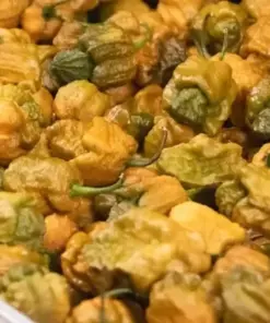 Pepper X Seeds - Extremely Spicy Fruit Seeds - 25+ Count - Indoor/Outdoor - Image 3