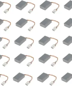 Premium Plant Seeds - Easy to Grow - For Home Gardens - Bulk Pack - Image 2