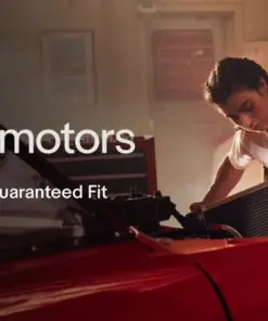 Premium Plant Seeds - Garden & Herb Seeds - High Germination Rate - Bulk Pack - Image 5