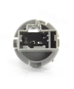 Premium Plant Seeds - High Germination Rate - Easy to Grow - Image 2