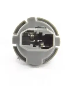 Premium Plant Seeds - High Germination Rate - Easy to Grow - Image 4