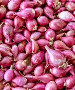Premium Red Shallot Bulbs - Gourmet Allium cepa var. aggregatum - 8oz - Outdoor - Image 1