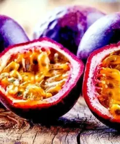 Purple Passion Fruit Flower Seeds - Granadilla Passiflora edulis Vine - 10 Seeds - Indoor/Outdoor - Image 1