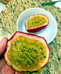Purple Passion Fruit Flower Seeds - Granadilla Passiflora edulis Vine - 10 Seeds - Indoor/Outdoor - Image 5