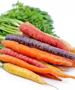 Rainbow Carrot Seeds - Heirloom Vegetable Seeds - 25-35 Seeds - Non-GMO - Image 2