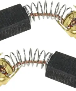 Rare Variegated Money Tree Live Plant - Pachira Aquatica - Unique Indoor Foliage - 6-inch Pot - Image 2