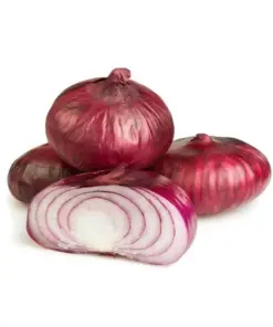 Red Cippolini Onion Seeds - 5000+ Count Non-GMO Heirloom Vegetable Seed Pack - Easy Grow - Image 4