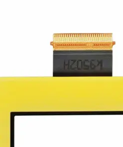 Red Spider Lily Bulbs - Vibrant Lycoris Radiata - Fall Blooming - Outdoor Garden - Image 2