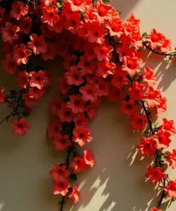 Red Trumpet Vine Seeds - Perennial Hummingbird Flower - Organic 12-Pack - Indoor/Outdoor - Image 4