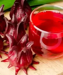 Roselle Seeds - Asian Sour Leaf & Florida Cranberry - 25+ Perennial Seeds - USA Grown - Image 1