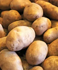 Russet Burbank Seed Potatoes - USDA Certified for Planting - 1000g - Easy Grow - Image 1
