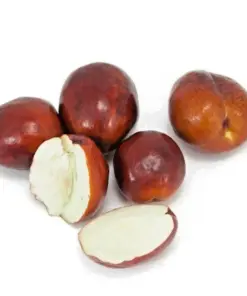 Shanxi Li Jujube Tree - Chinese Date Live Plant or Seeds - Fast Growing Ziziphus jujuba - Indoor/Outdoor - Image 3