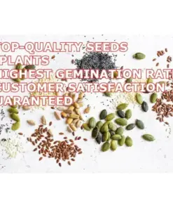 Sweet Banana Pepper Seeds - Heirloom, Non-GMO Vegetable Seeds - Easy Grow - Image 7