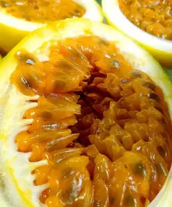 Sweet Granadilla Yellow Passion Fruit Seeds (Passiflora ligularis) - Climbing Vine - Fast Growing - Image 1