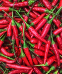 Thai Hot Pepper Seeds - Non-GMO Vegetable Seeds - 30+ Seeds - Indoor & Outdoor - Image 1
